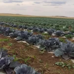 Су үнемдеу технологияларын әзірлейтін 5 зауыт ашылады