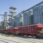 Экспорт зерна нового урожая достиг 7,6 млн тонн: рост на 58%