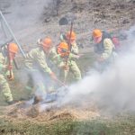 Жазғы маусым кезіндегі адамдардың амандығы – басты  назарда