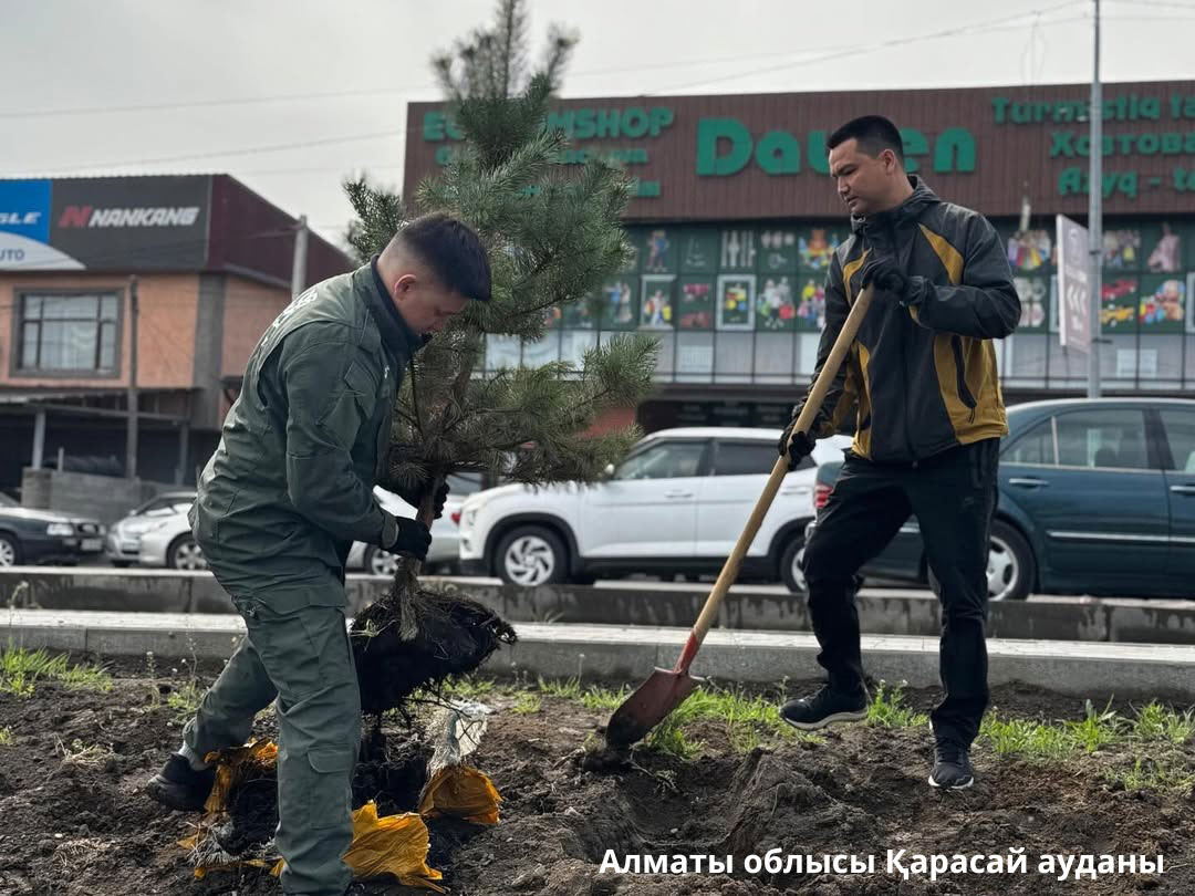 Тазалық таразысы – сенбілік