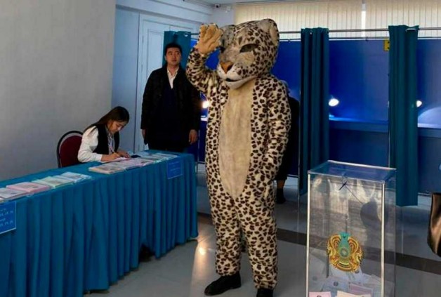 Снежный барс, черепашки-ниндзя, диванный герой: в каких костюмах приходили избиратели на выборы