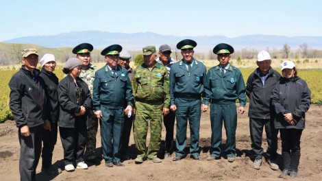 100 шырша көшеті аудандағы әр мектепке берілді