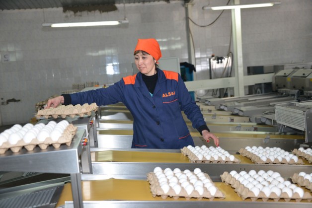 «Alsad Kazakhstan»: 210 млн. яиц в год
