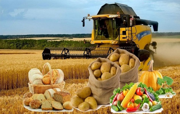 23-24 сентября 2023 года в Астане фермеры Алматинской  области представят 200 тонн продукции своих хозяйств.