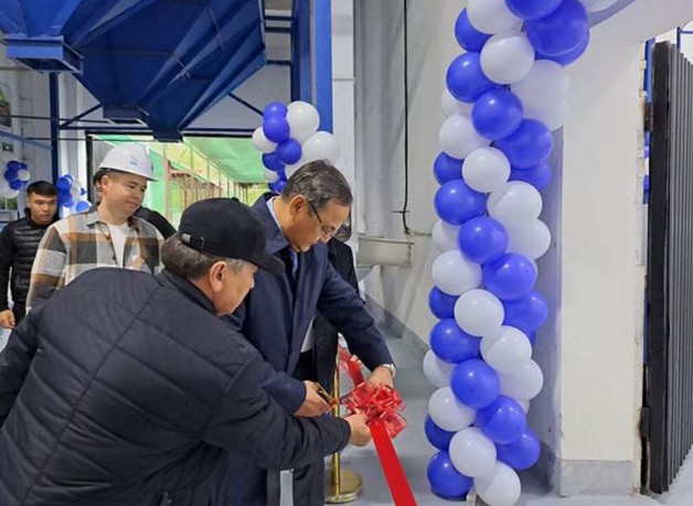 Ученые КазНИИЗиР открыли уникальный семенной завод