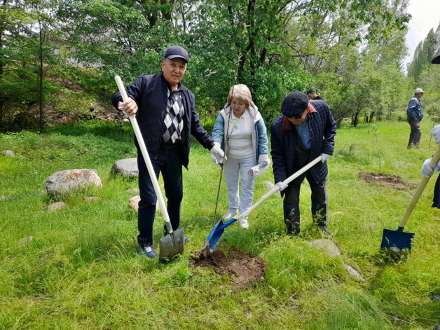 Важно поддерживать  чистоту, поливать  саженцы деревьев