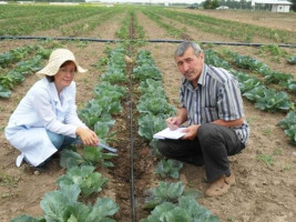 Преимущества водосберегающих технологий орошения