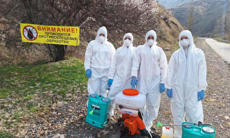 Кенеге қарсы күрес жұмыстары жалғасуда