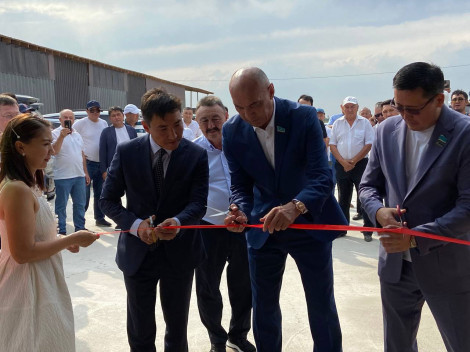 Заманауи үлгіде мал бордақылау алаңы ашылды