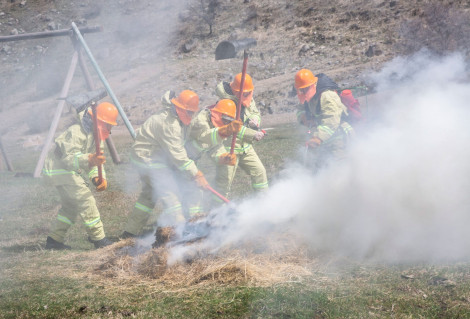 Жазғы маусым кезіндегі адамдардың амандығы – басты назарда