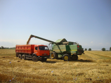 Зерноуборка идет полным ходом