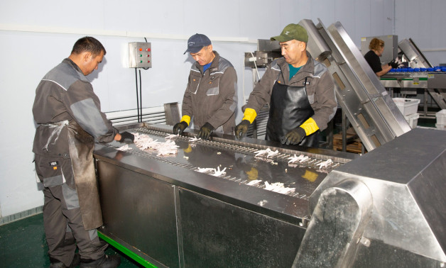 Тауық табандарын пайдаға жаратқан кәсіпорын