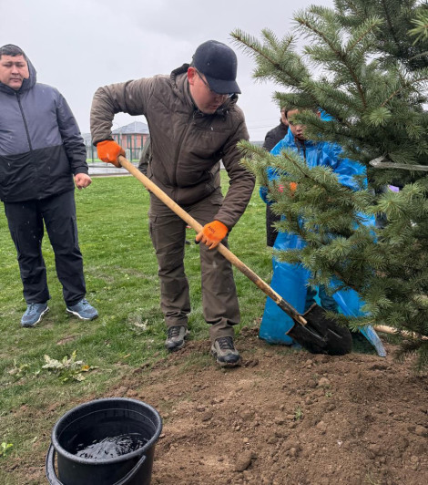 Жасыл желек – жердің көркі
