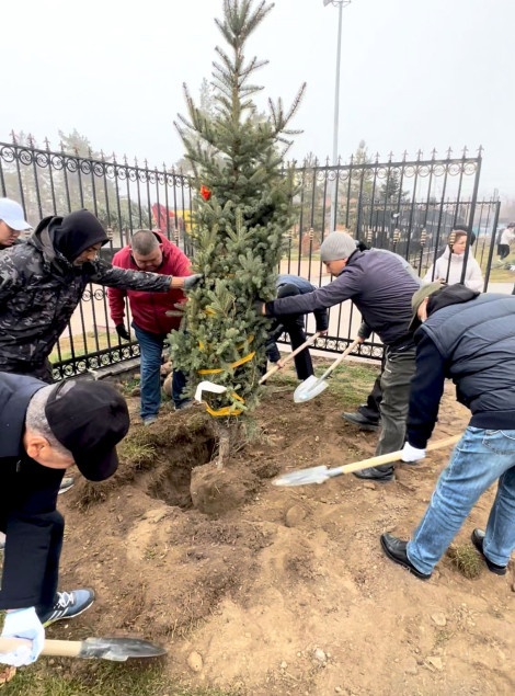 Айнала тазарып, түрлі ағаш егілді