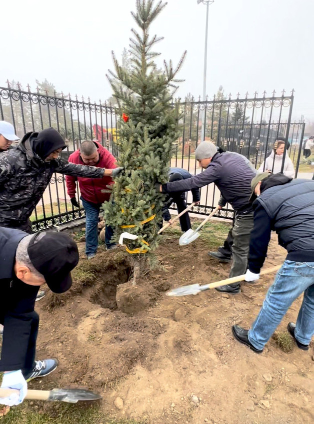 Айнала тазарып, түрлі ағаш егілді