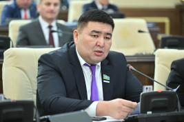 Елнур Бейсенбаев: новая Конституция – это свидетельство зрелости Казахстана