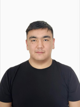 Конституция мәтінімен ғана емес, елдің нақты халықаралық саясатымен дәлелденіп отыр