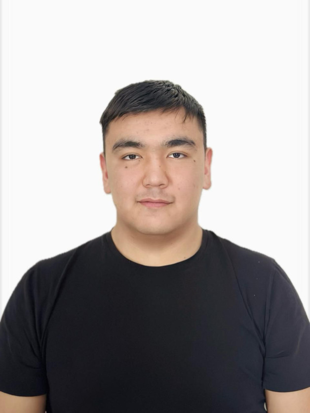 Конституция мәтінімен ғана емес, елдің нақты халықаралық саясатымен дәлелденіп отыр