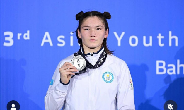 Жаңа Конституция – заманауи қауіп-қатерлерді ескерудің көрінісі