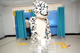 Қар барысы бейнесіндегі тұрғын дауыс берді