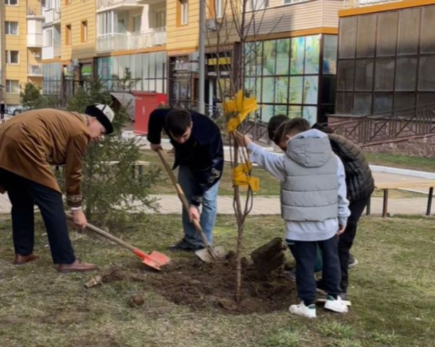 Тазару күні – көгалдандырудың басы
