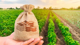 Субсидия мәселесі шешіліп, кәсіпкердің құқығы қорғалды