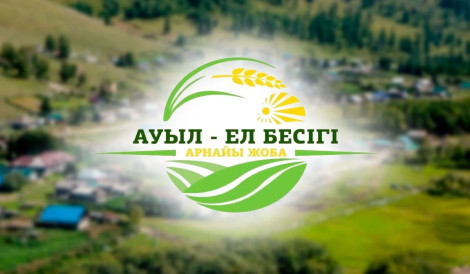 «Ауыл – ел бесігі» бойынша қандай жобалар жүзеге асырылды?