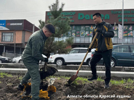 Тазалық таразысы – сенбілік