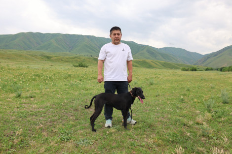 Қарасайдың тазысы  әлемге танылды