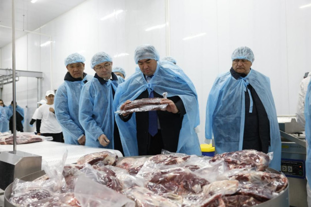 В Алматинской области запустили крупный мясоперерабатывающий завод