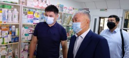 Мониторинг цен на лекарственные средства в аптеках южного региона алматинской области
